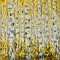 Yellow birch (Sold)